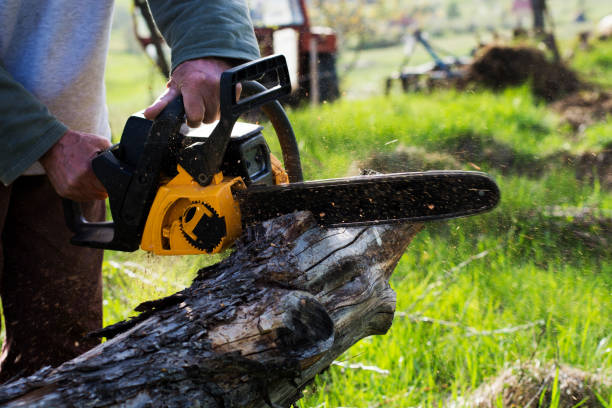 Best Hazardous Tree Removal  in Wyndmoor, PA